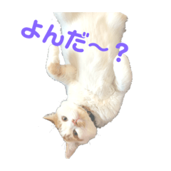 ちくわ♂の日常②