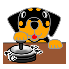 ロット の まー之助 ７だよ～