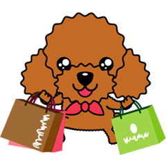 トイプードルのモカちゃん.