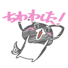 ブラックタンのチワワした！