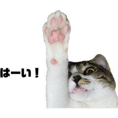 れおんちゃんズ