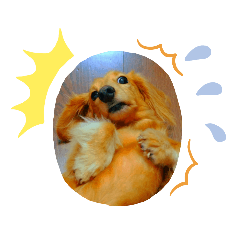 ころすけのカワイイスタンプ