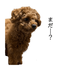 イヴさんの日常。