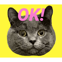 まんまる♡まるくん