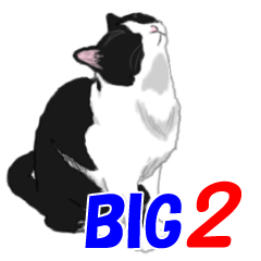 BIG！ハチワレねこのシュー２