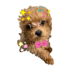 くりむのかわいいスタンプ♡