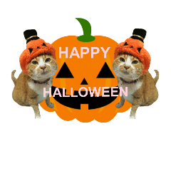 河瀬家にゃんこ ハロウィン