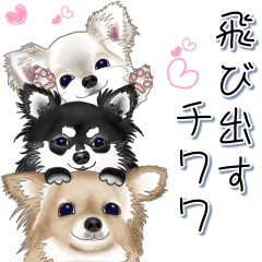 飛び出すチワワ