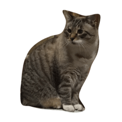 名前チビなのに体デブ