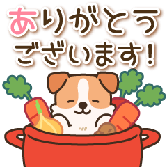 飛び出す！陽気なジャックわんこ