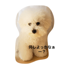 プリモのスタンプ