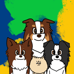 ボーダーコリー　RRR @ときーん