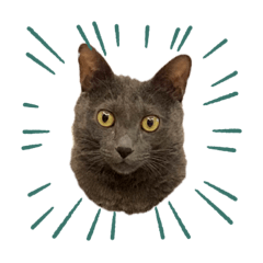 Ariel_20211205012506