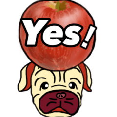 パグの家族の日常会話