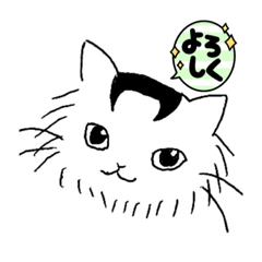 モノクロ感情豊かな、きなこちゃん