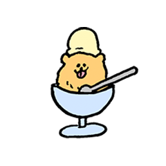 たっぷりポメラニアン