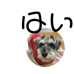 アズさんの挨拶