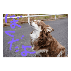 みんなのジルくん