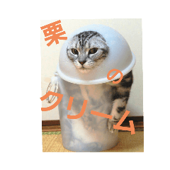 神様のようだな