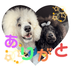 スタンプー の日常会話(ハク・ウタ)