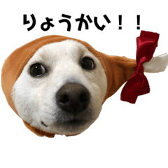 梅ちゃんのスタンプ2