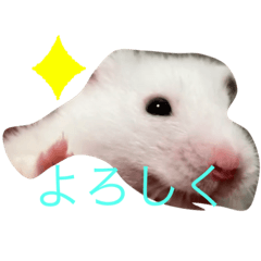 みんな仲良ドーム