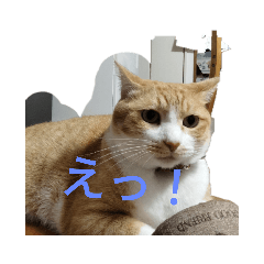 動物ハチャメチャスタンプ