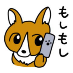 スマホデビューしたらこれ買って