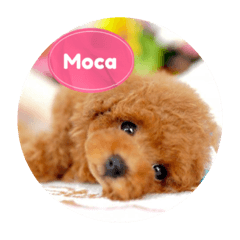 MOCAちゃんのあいさつスタンプ