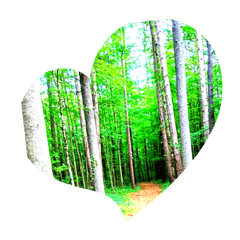 地球に優しくしよう