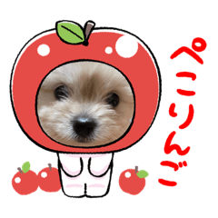 わたわたピーポー