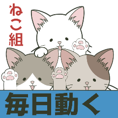 ねこ組＊毎日動く【ロコ•モコ•ドン】