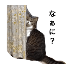 ウナギ、りんファンクラブpart.1