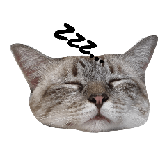 Birth_20230704020005