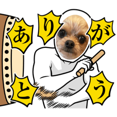 癒しのロコバンスタンプwithおいち