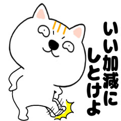 ネコ三兄弟　一郎