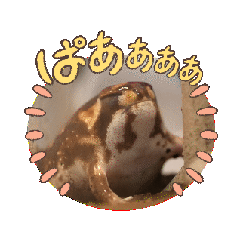 アメフクラガエルの動くほのぼのスタンプ