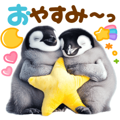 かわいい♡ペンギン