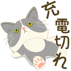 五月病絶賛こじらせ中！【ハチワレコンビ】