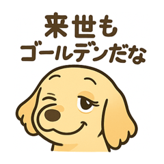 ゴールデンのピッパの日常