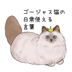 ゴージャス猫の日常使える言葉