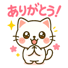 ちびネコの日常