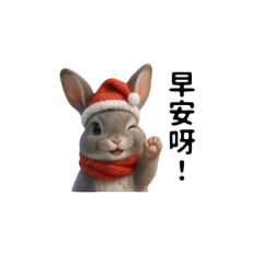 Fuyu Bunny Greetings