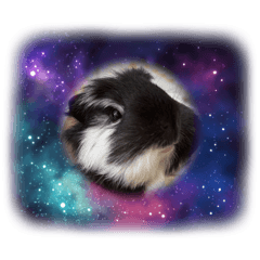 わたしが使うお気に入りスタンプ