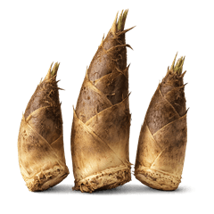 Super delicious bamboo shoots