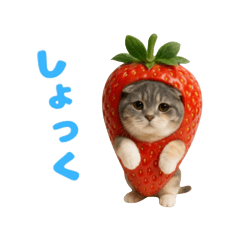 ジューシーZOO　イチゴ×ネコ