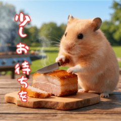 キンクマハムスターもなかと夏休み