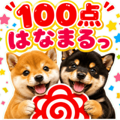 飛び出す♡大切な人へ送る思いやりわんこ