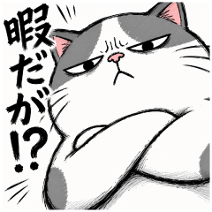 圧ねこ｜①基本・命令編
