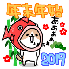 ねこ達な毎日2019